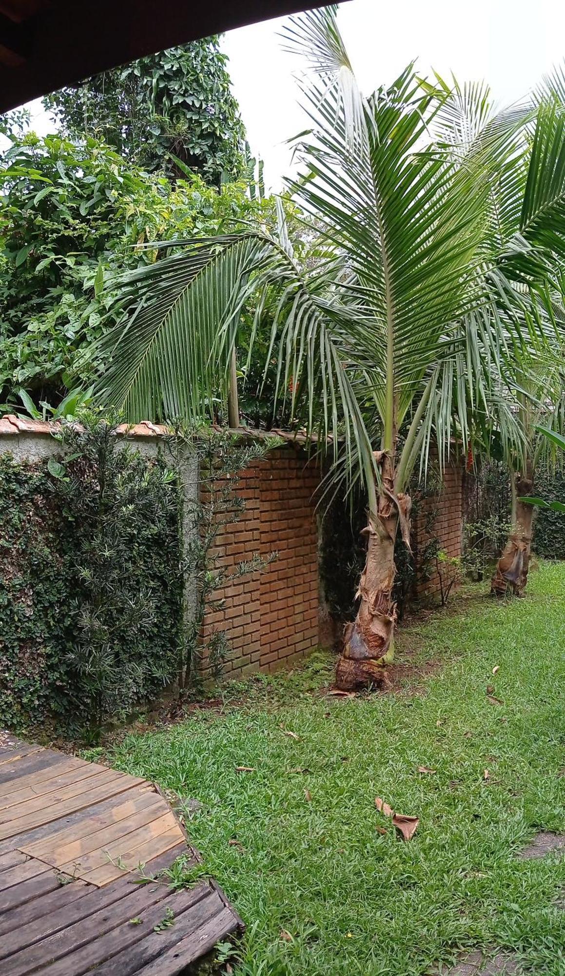 Casa Dos Coqueiros Praia De Camburi, Condominio Camburi  Bagian luar foto